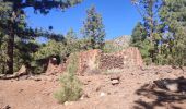 Randonnée Marche Vilaflor - Lunar Landscape Hike in Villaflor (Tenerife) - Photo 19