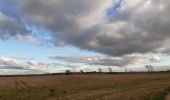 Trail Walking Cayeux-sur-Mer - lac de caouaisse . brighton . pointe de hourdel . lac de caouzisse   - Photo 1