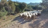 Tocht Stappen Montpeyroux - arsel la grotte aux fees - Photo 18