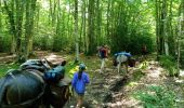 Tour Wandern La Chapelle-en-Vercors - La Chapelle en Vercors - Vassieux (Première étape balade ânes) - Photo 3