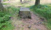 Trail Walking Trois-Ponts - logbierme 060824 - Photo 1
