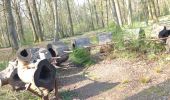 Trail Walking Thuin - Thuin - Photo 5