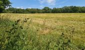 Randonnée Marche Glomel - Tour de l'etang du Corong depuis Mézouët - Photo 9