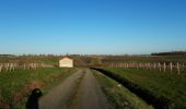 Tour Wandern Lys-Haut-Layon - Tancoigné - Photo 4