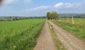 Tocht Stappen Libramont-Chevigny - Bras-Freux - Photo 7