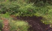 Randonnée A pied Roding - Wilder Mann 059, Naturpark Vorderer Bayerischer Wald - Photo 7