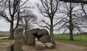 Randonnée Marche Durbuy - ballade autour des menhirs, dolmens et pierres de légendes de Weris - Photo 12