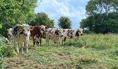 Trail Walking Port-en-Bessin-Huppain - Port en Bessin (Calvados) - Photo 1