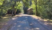 Tocht Stappen Chenonceaux - etang des jumeaux  - Photo 1