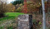 Tour Wandern Vaugneray - col de la luere, départ du stade de Vaugneray - Photo 7