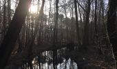 Tour Zu Fuß Königs Wusterhausen - Rundweg Großer Tonteich - Photo 9