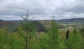 Tocht Stappen Vresse-sur-Semois - rando laforêt 9-04-2024 - Photo 19