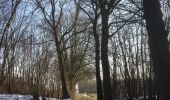 Trail On foot Kampen - WNW IJsseldelta - 's-Heerenbroek/Wilsum - gele route - Photo 6