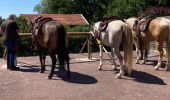 Excursión Paseo ecuestre Badonviller - Aurélie pat joyeux lac  - Photo 1