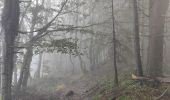 Randonnée Marche Le Bessat - Croix de Chaubouret - Crêt de Botte - Col de l'Oeuillon  - Photo 18