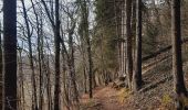 Trail Walking Hamoir - trek GR57 jour 4 : Hamoir - Bomal-sur-Ourthe - Photo 3