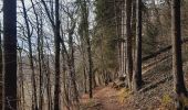 Randonnée Marche Hamoir - trek GR57 jour 4 : Hamoir - Bomal-sur-Ourthe - Photo 3