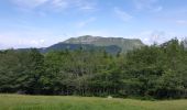 Trail Walking Omblèze - font d urle - Photo 9