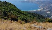 Trail Walking Appietto - appietto punta san sisto - Photo 8