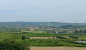 Randonnée Vélo électrique Bischoffsheim - un tour dans le vignoble Bischoffsheim  - Photo 5