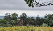 Randonnée Marche Le Cannet-des-Maures - Autour de 