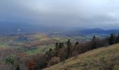 Trail Walking La Chapelle-en-Vercors - Serre Plumé  - Photo 17