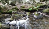 Excursión Senderismo Val-d'Aigoual - cascades orgon - Photo 4