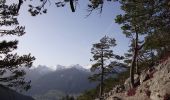 Trail On foot Tesero - Sentiero forestale Cucal - Photo 5