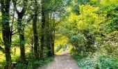 Tocht Stappen Marche-en-Famenne - La réserve naturelle du Fond des Vaux à Marche-en-Famenne - Photo 1