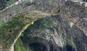 Tocht Stappen Montauroux - Gorges de la Siagne - Photo 5