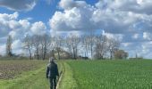 Randonnée Marche Holsbeek - Sin Pieter Rode  - Photo 1