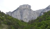 Excursión Senderismo Romeyer - Col des Bachassons depuis Romeyer - Photo 4