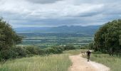 Trail Walking Aniane - Sensei34270 - Photo 9