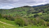 Randonnée Marche La Combe-de-Lancey - Col du Pré du Molard - Photo 10