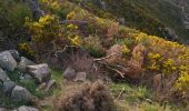 Excursión Senderismo Rodès - Dans les gorges de la Guillera depuis Rodès - Photo 5