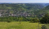 Trail Walking Valady - Valady nuces serres  - Photo 2