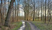 Trail Walking Raeren - A la découverte de Lichtenbusch 🥾 - Photo 10