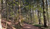 Tocht Stappen Malmedy - Ferme Libert - Photo 17