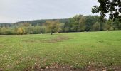 Tocht Stappen La Roche-en-Ardenne - Ramee  - Photo 13