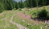 Percorso Marcia Puy-Saint-Vincent - cascades puy saint vincent - Photo 2