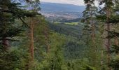 Randonnée Marche Saint-Dié-des-Vosges - Balade autour du Col de la Crenée - Photo 8