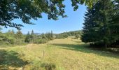 Randonnée Marche Saint-Agnan-en-Vercors - Col de soulier - Photo 2