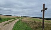Randonnée Marche Azé - Azé - Bois et Champs - Photo 11