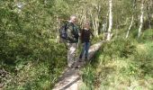 Trail On foot Malmedy - WandHogVen 20: Bevercé: canyon van de Trôs Marets - Photo 4