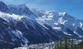 Tour Wandern Chamonix-Mont-Blanc - CHAMONIX... depuis l' Arveyron jusqu'à la Floria.  - Photo 7