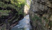 Excursión Senderismo Oberstdorf - Breitachklamm  - Photo 20