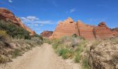 Tour Wandern Unknown - 2024 Vermillon Cliffs Edmaiers trail - Photo 2