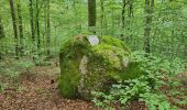 Randonnée Marche Belverne - Belverne - grotte des prisonniers allemands - Etobon - Photo 9