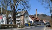 Percorso A piedi Hofheim am Taunus - Rundwanderweg Eichhorn - Photo 9