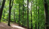 Tour Wandern Uccle - Ukkel - 2020-07-09 - Banc d'essai pour enregistrer un circuit dans la forêt de Soignes sur EasyJet Trail  20 jm - Photo 18